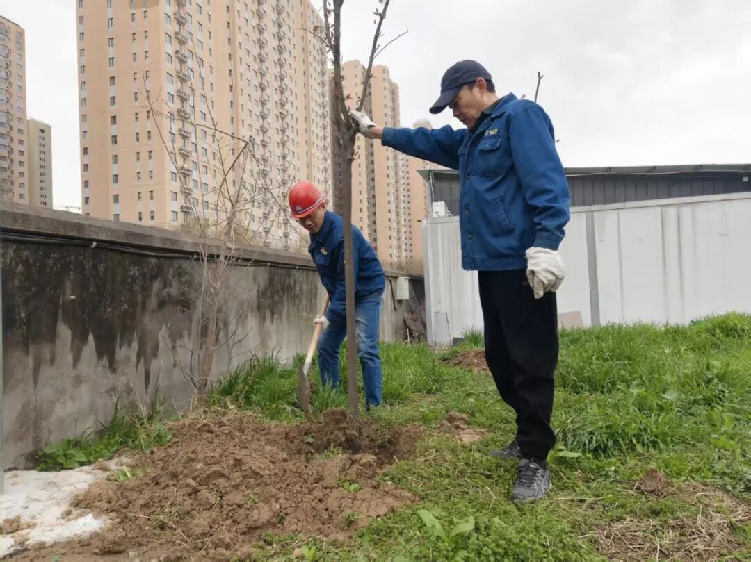 红光物流公司:春风添新绿,共筑生态园区 红光物流公司:春风添新绿,共筑生态园区