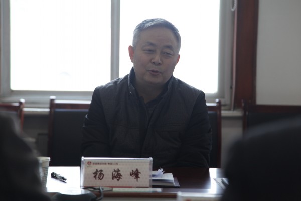 杨海峰指导龙钢集团领导班子“两学一做”学习教育专题民主生活会